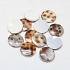 Flat Round Shell Cabochons BSHE-O008-D-02-1