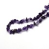 Natural Amethyst Beads Strands G-O049-C-23-3