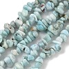 Natural Larimar Beads Strands G-P302-03-4