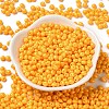 6/0 Opaque Baking Paint Glass Seed Beads SEED-M012-02A-21-2