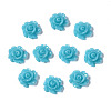 Resin Cabochons LS-CRES-B3462-A129-1