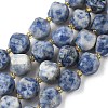 Natural Blue Spot Jasper Beads Strands G-U023-A05-01-2