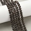 Natural Smoky Quartz Beads Strands G-G184-A04-02-5