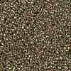 TOHO Round Seed Beads X-SEED-TR15-0998-2