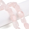 Natural Rose Quartz Beads Strands G-N342-142-4