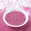 MIYUKI Round Rocailles Beads SEED-G007-RR0355-2