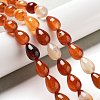 Natural Red Agate Beads Strands G-B106-A22-02-2