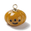 Halloween Opaque Resin Charms RESI-E018-01C-1