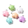 Opaque Resin Pendants RESI-G074-02-1