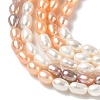 Natural Cultured Freshwater Pearl Beads Strands PEAR-C004-14B-4