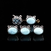 Natural Larimar Beads PW-WG2C262-01-1