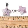 Natural Lepidolite Pendants X-G-B127-12P-07-3