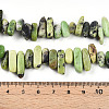 Natural Serpentine Beads Strands G-T140-62-5
