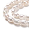 Natural Cultured Freshwater Pearl Beads Strands PEAR-J005-63A-2