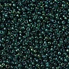 MIYUKI Round Rocailles Beads X-SEED-G007-RR0338-2