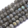 Natural Labradorite Beads Strands G-O170-59C-1