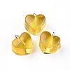Resin Pendants RESI-WH0008-12C-2