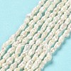 Natural Baroque Pearl Keshi Pearl Beads Strands PEAR-E016-142-2