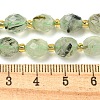 Natural Prehnite Beads Strands G-N342-43-5