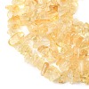 Heated Natural Citrine Beads Strands G-P622-A05-02-4