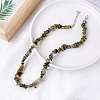 Natural Labradorite Chips Bead Necklace PW-WG87743-06-1