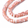 Natural Trochus Shell Beads Strands SHEL-S278-027H-3