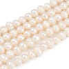 Natural Cultured Freshwater Pearl Beads Strands PEAR-I007-07Y-08A-2