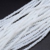 Faceted Rondelle Glass Beads Strands GLAA-M028-2mm-A12-1