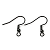 304 Stainless Steel Earring Wires STAS-XCP0001-73-1