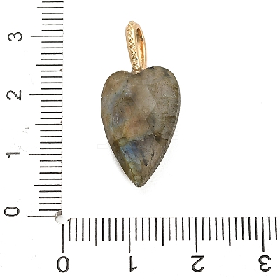 Natural Labradorite Pendants LS-G-C290-01D-1