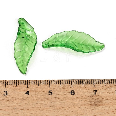Transparent Acrylic Pendants AC-CBA5040-01B-1