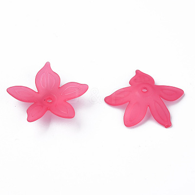 Transparent Acrylic Beads MACR-S373-127-D01-1