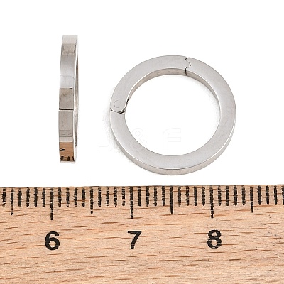 304 Stainless Steel Spring Gate Rings SA-CBA02E8-15C-P-1