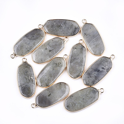 Natural Labradorite Pendants G-T112-23A-1