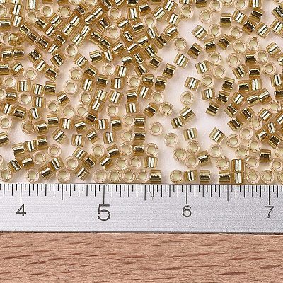 MIYUKI Delica Beads X-SEED-J020-DB2521-1