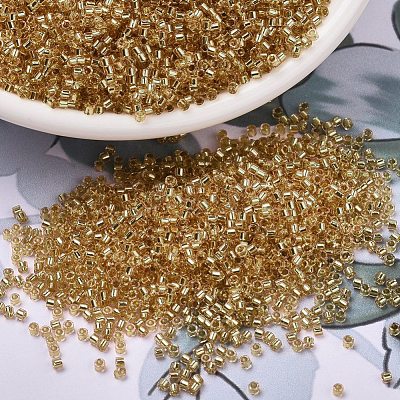MIYUKI Delica Beads SEED-X0054-DB2521-1
