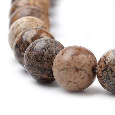 Natural Picture Jasper Beads Strands G-S259-27-10mm-1