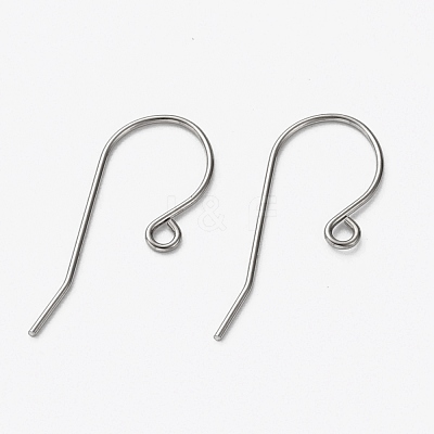 Tarnish Resistant 304 Stainless Steel Earring Hooks STAS-L253-004P-1