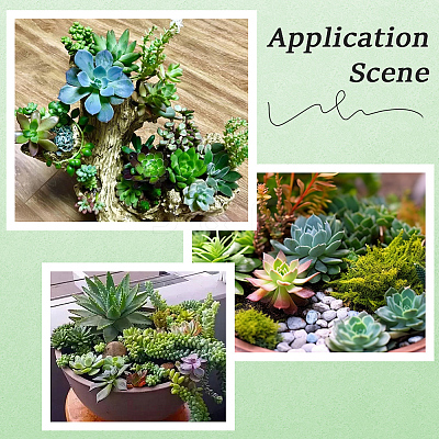 PVC Artificial Succulent Plant AJEW-SP0004-35B-1