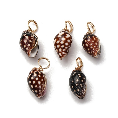 Spiral Shell Pendants PALLOY-JF02492-02-1