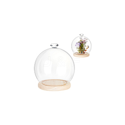 Diamond Glass Dome Cover AJEW-WH0348-294D-02-1