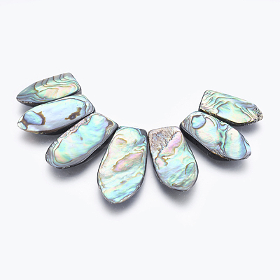 Natural Abalone Shell/Paua Shell Beads Strands SSHEL-P014-08-1