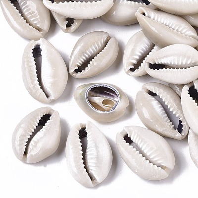 Natural Cowrie Shell Beads X-SSHEL-N034-33-1