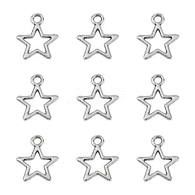 Tibetan Style Alloy Charms LS-K0PGH021-1