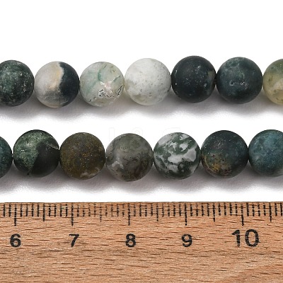 Natural Tree Agate Beads Strands X-G-T106-038-1