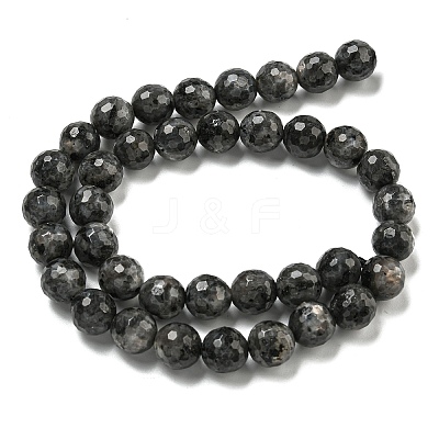 Natural Larvikite Beads Strands G-E571-A09-03-1