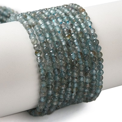 Natural Apatite Beads Strands G-C137-A01-01-1