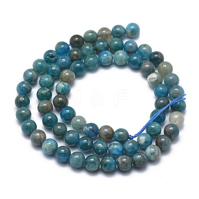 Natural Apatite Beads Strands G-I254-08B-1