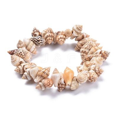Unisex Natural Spiral Shell Stretch Bracelets BJEW-K220-01-1