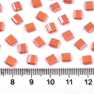 FGB 2-Hole Glass Seed Beads SEED-S031-L-ST130-1